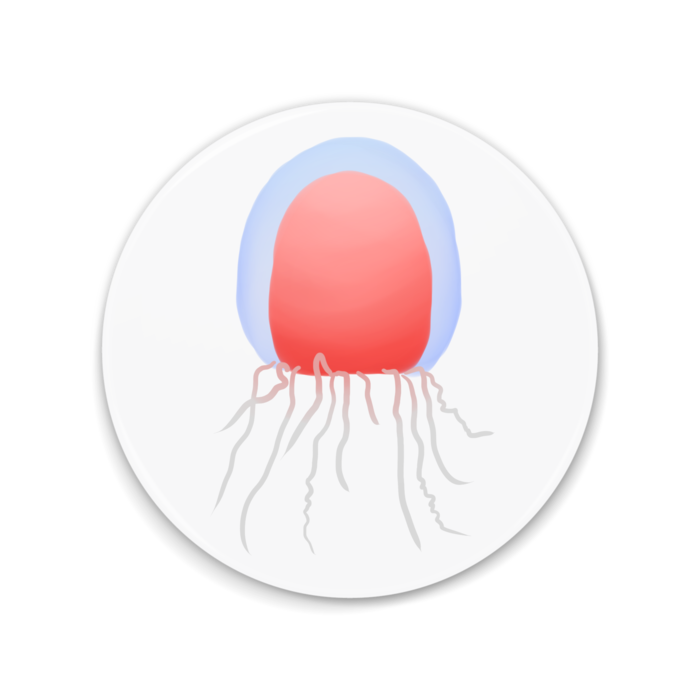 アカチョウチンクラゲさんの缶ミラー 深海生物シリーズ ねこねこたいむ Booth アカチョウチンクラゲさんの缶ミラー 深海生物シリーズ ねこねこたいむ Booth