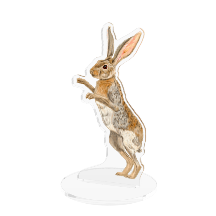 アクリルフィギュア - 100x100mm