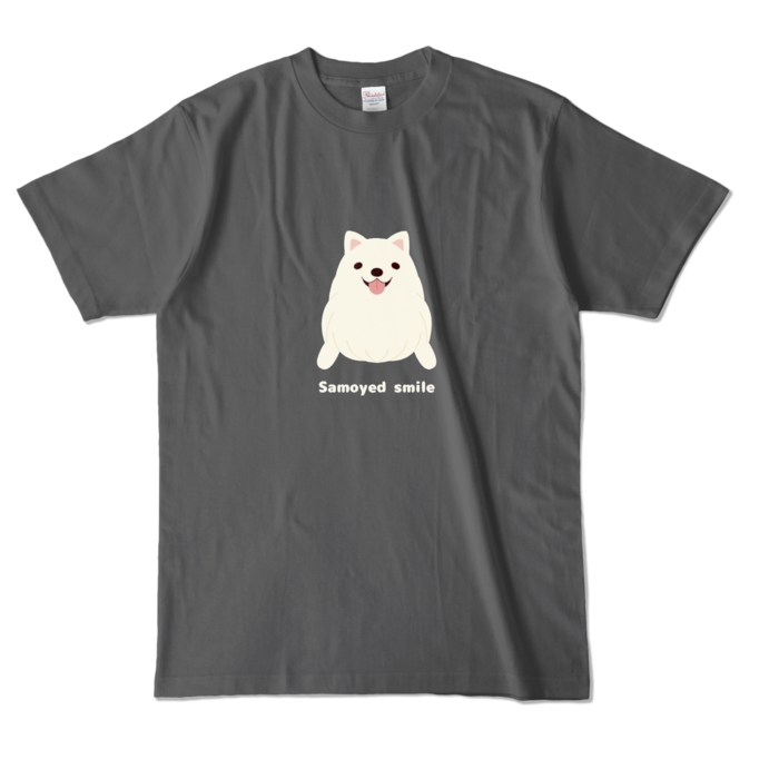カラーTシャツ　チャコール　L