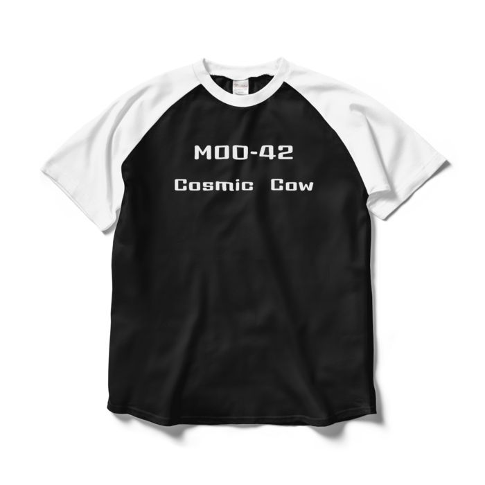 ラグランTシャツ - L - ブラック×ホワイト(2)