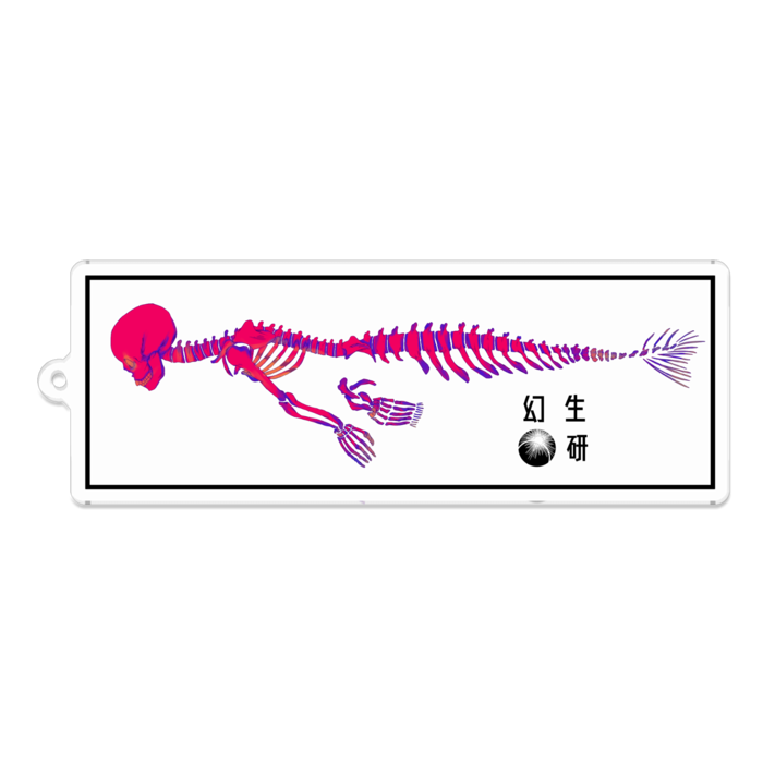 アクリルキーホルダー 透明骨格標本