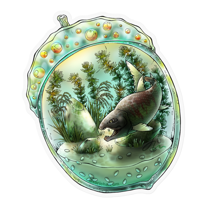 クリア／100 x 100㍉