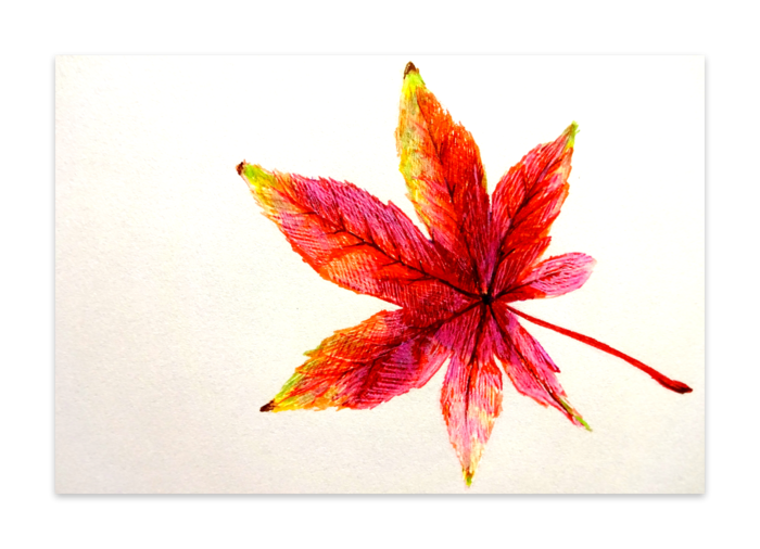 ポストカード(10セット) - マットコート220kg