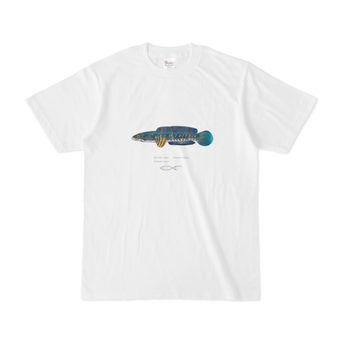 Tシャツ - S - 白