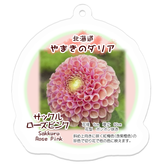 アクリルキーホルダー - 50 x 50 (mm)