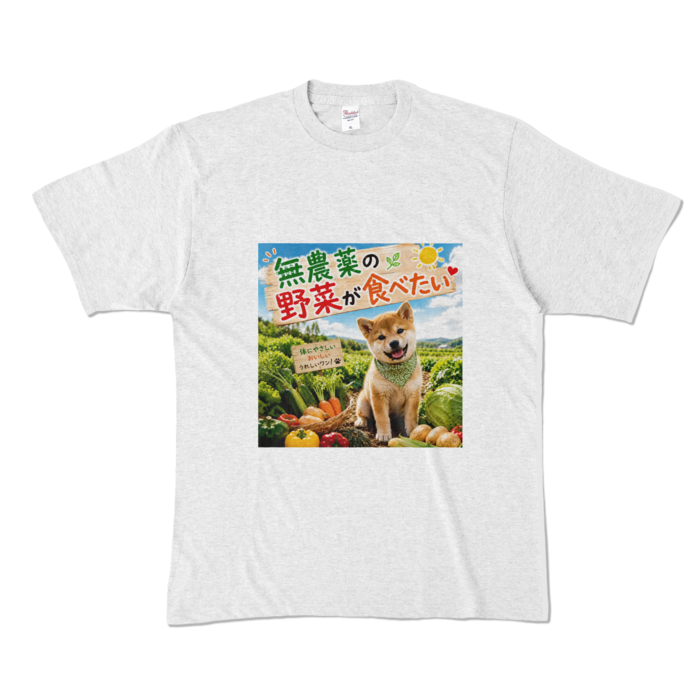 カラーTシャツ - XL - アッシュ （淡色）