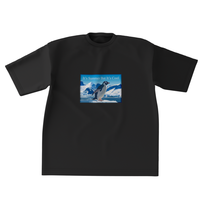 ビッグシルエットTシャツ - XL - 正面