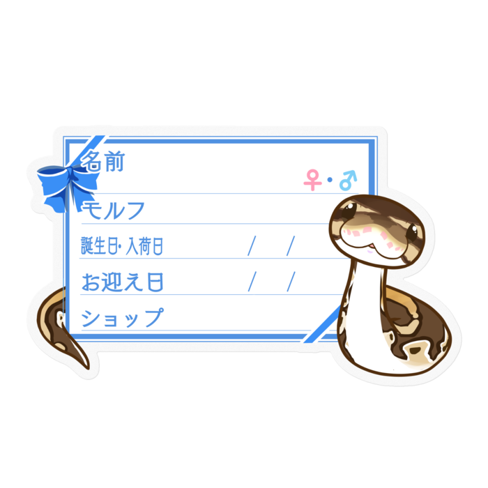 【🐍お名前ステッカー】ボールパイソン(ノーマルミニ) ‐リボン/ブルー