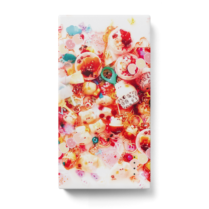 モバイルバッテリー - 123 x 65 (mm)