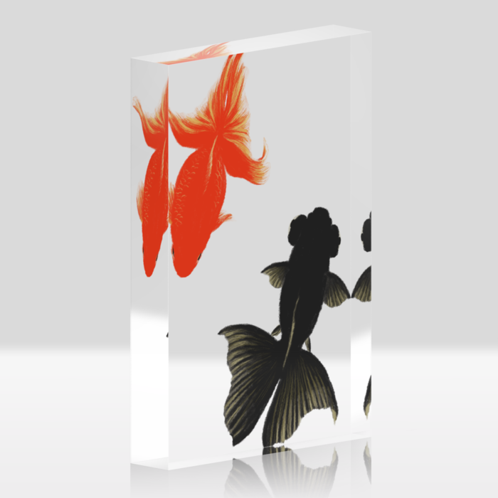 アクリルブロック - 金魚のみ