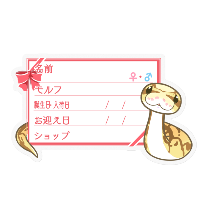 【🐍お名前ステッカー】ボールパイソン(クイーンビーミニ) ‐リボン／ピンク