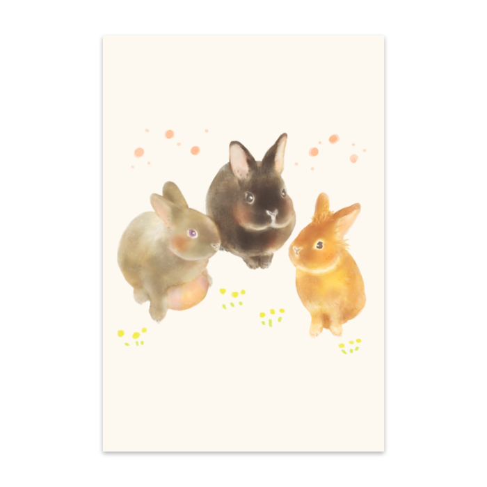 ポストカード(10枚セット) - 竹はだGA180kg