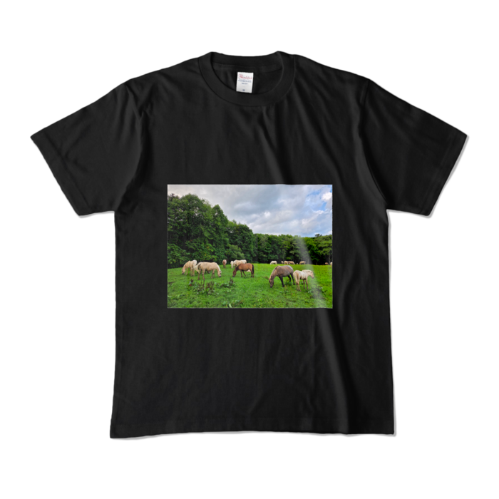 カラーTシャツ - M - ブラック (濃色)