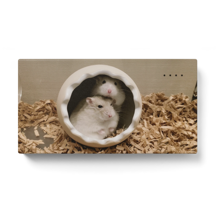 モバイルバッテリー - 123 x 65 (mm)(4)