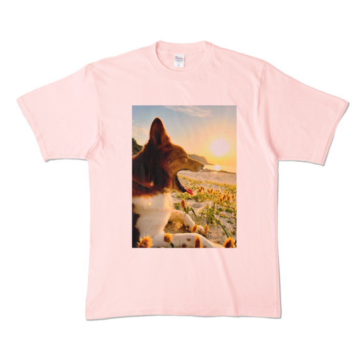 カラーTシャツ - XL - ライトピンク (淡色)