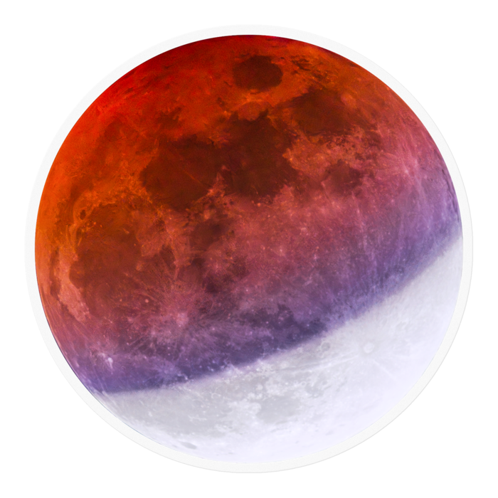 ステッカー - 100 x 100 (mm)