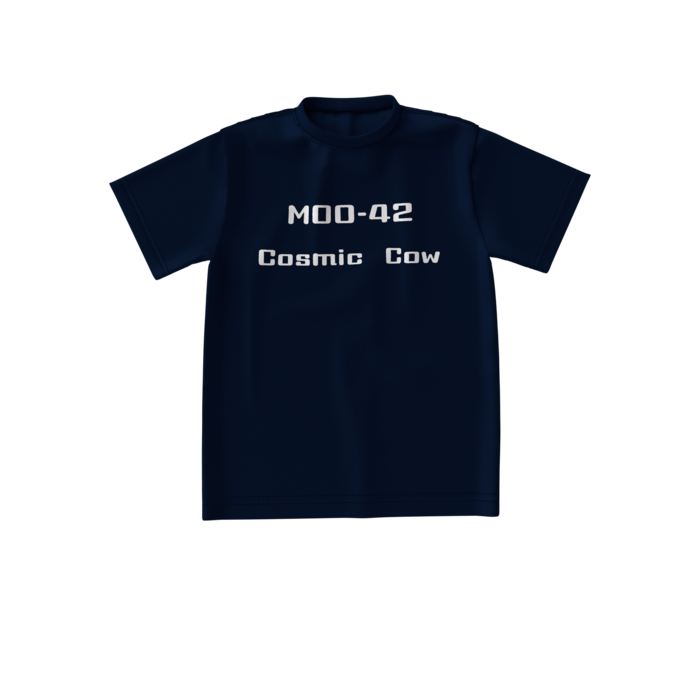 ビッグシルエットTシャツ - S - 両面(5)