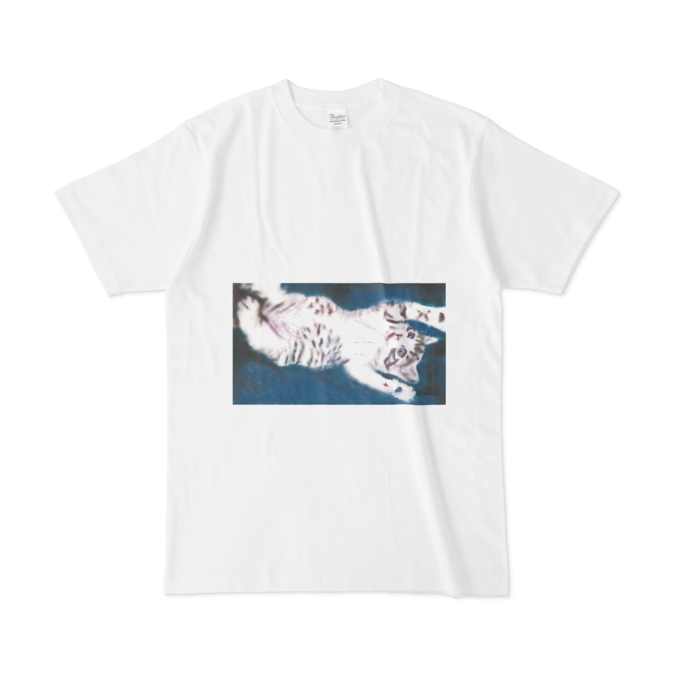 Tシャツ - L