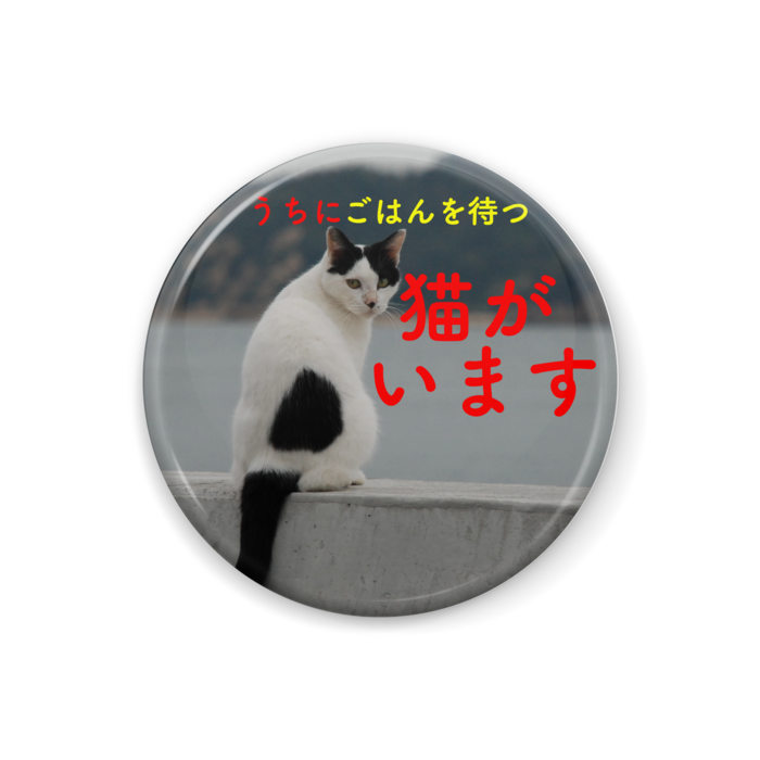 缶バッジ - 32mm