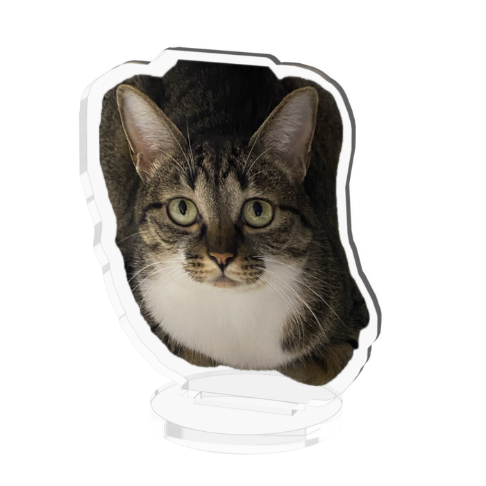 アクリルフィギュア - 50x50mm