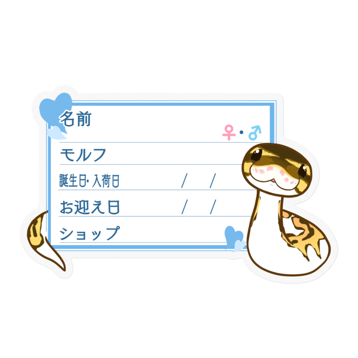 ใ๐ใๅๅในใใใซใผใใใผใซใใคใฝใณ(ใใคใใ) โใใผใ๏ผใใซใผ