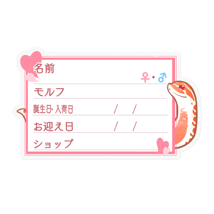 【🐍お名前ステッカー】シシバナ(エクストリームレッドアルビノ) ‐ハート/ピンク