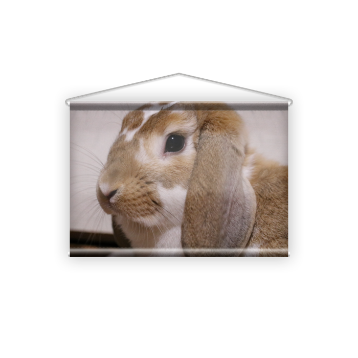 タペストリー - B2横