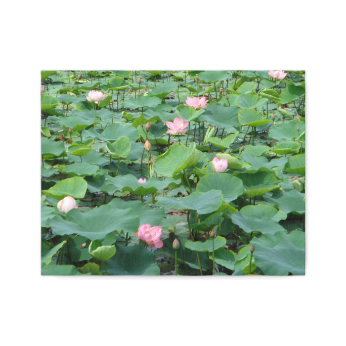 キャンバス - F6