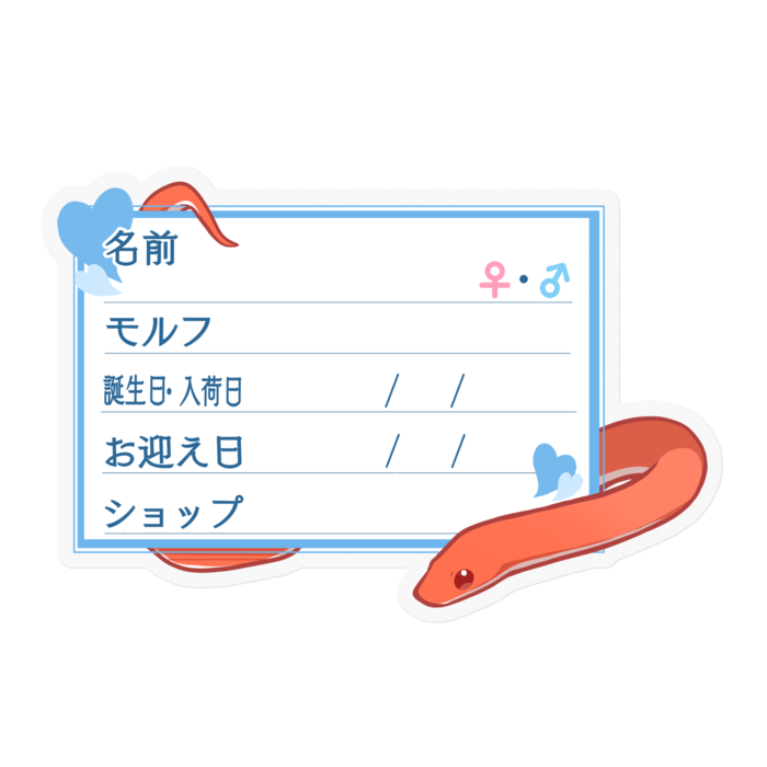 【🐍お名前ステッカー】コーンスネーク(ブラッドレッド) - ハート/ブルー