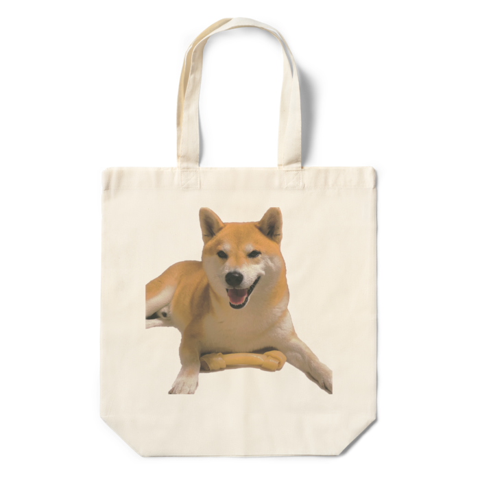 エコバッグ - 360×370×110(mm)