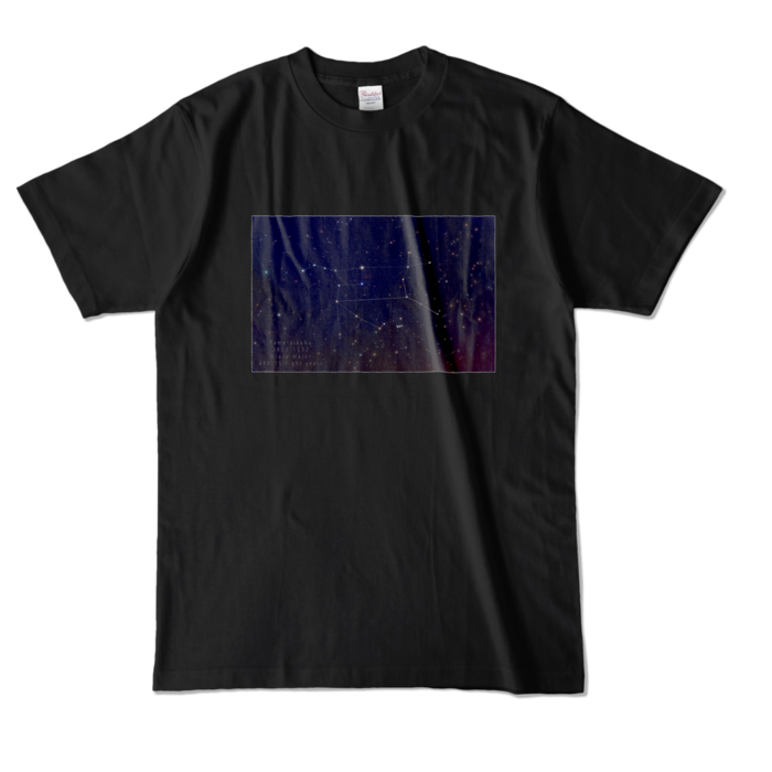 カラーTシャツ - L - ブラック (濃色)