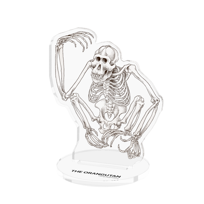 アクリルフィギュア - 70x70mm