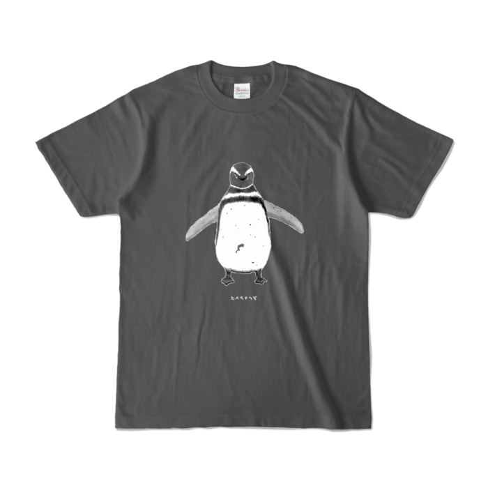 カラーTシャツ - S - チャコール (濃色)