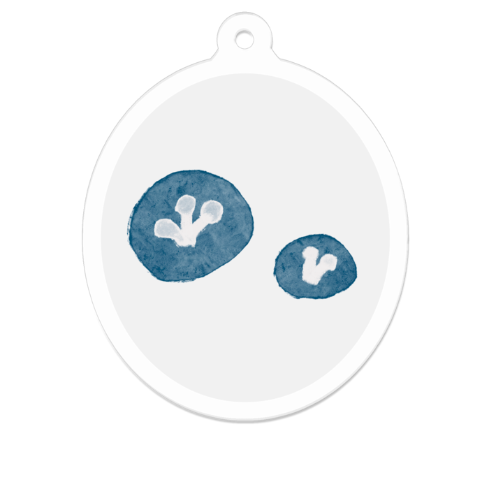 アクリルキーホルダー（コーティング） - 50 x 50 (mm)