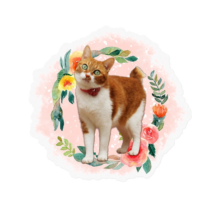 ステッカー - 100 x 100 (mm)