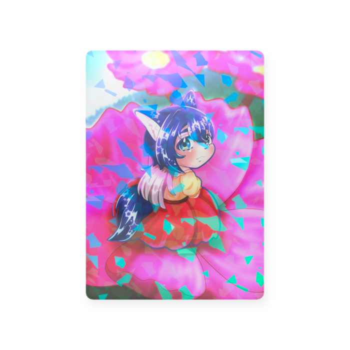 ９月　コスモス