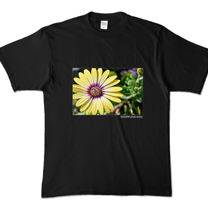 カラーTシャツ - XL - ブラック (濃色)