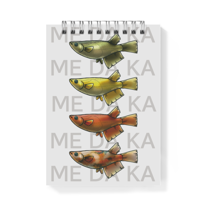 ME DA KA(赤)　ー　A6