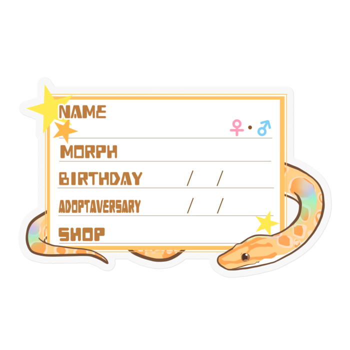 【🐍お名前ステッカー】ブラニジ(アルビノ) ‐星(英語)