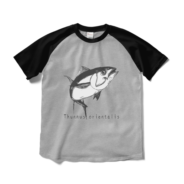 ラグランTシャツ - M - 正面