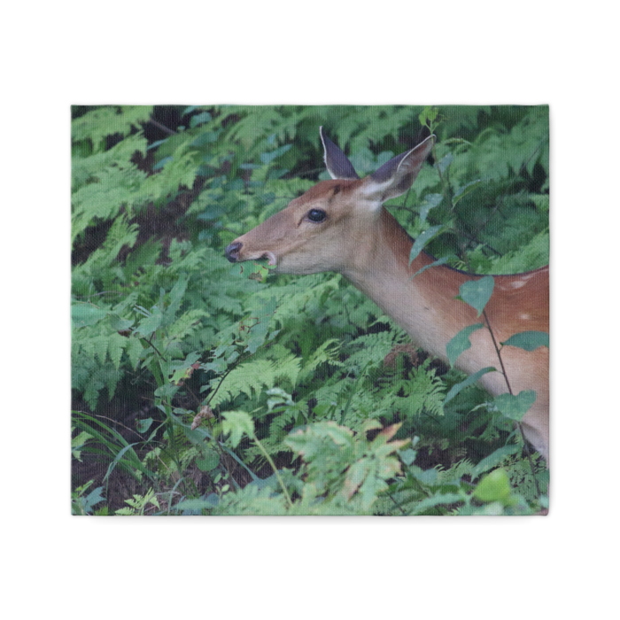 キャンバス - F10