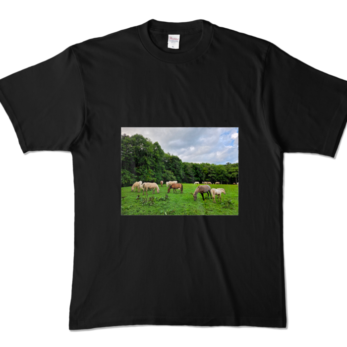 カラーTシャツ - XL - ブラック (濃色)