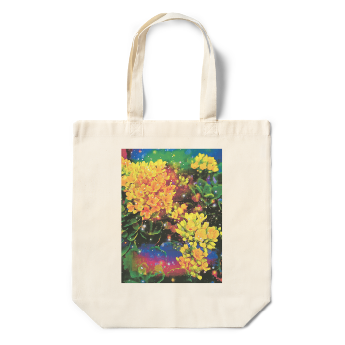 エコバッグ - 360×370×110(mm)