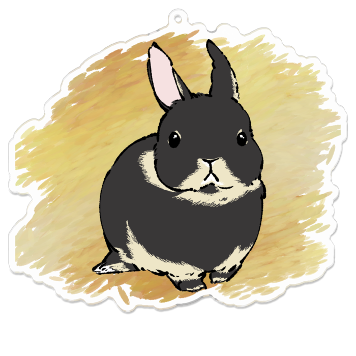 アクリルキーホルダー - 100 x 100 (mm)