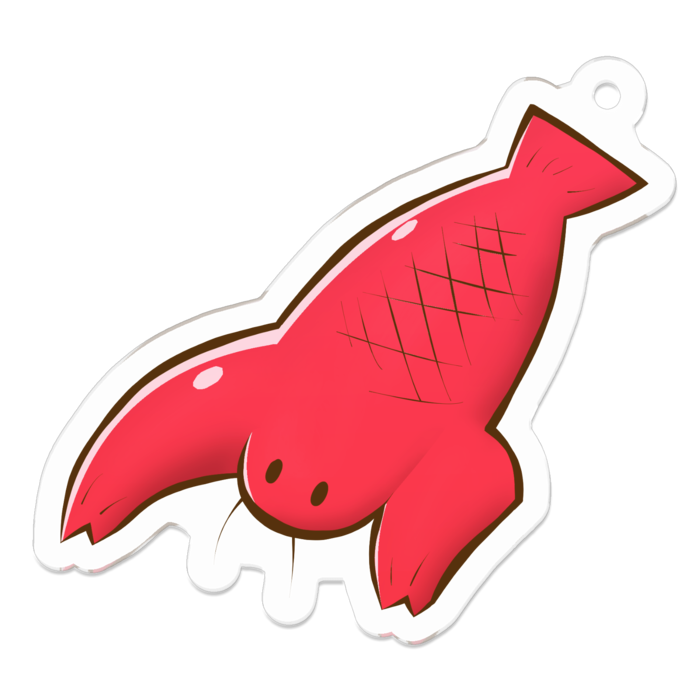 小さいザレシュリンプ (約50㎜)