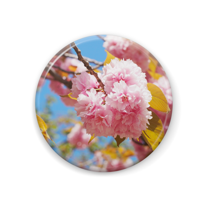 缶バッジ - 44mm