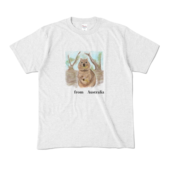カラーTシャツ - M - アッシュ (淡色)
