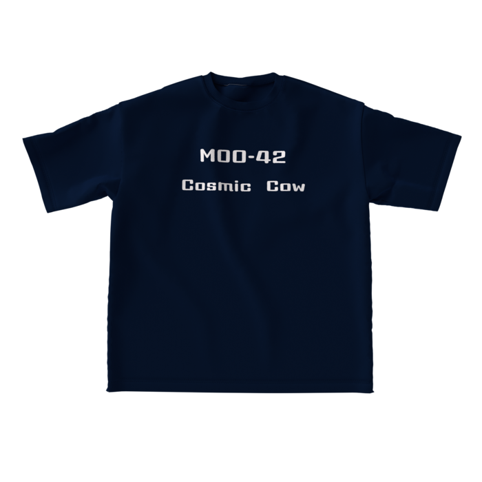 ビッグシルエットTシャツ - L - 両面(5)
