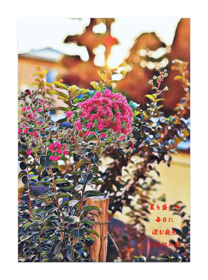 A 190 サルスベリの花 Flower Of Lagerstroemia Indica ポスター 半光沢 Gallerygai Booth