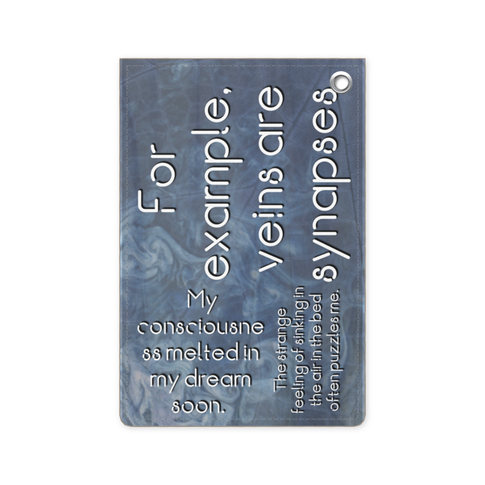 パスケース - 70 x 105 (mm)